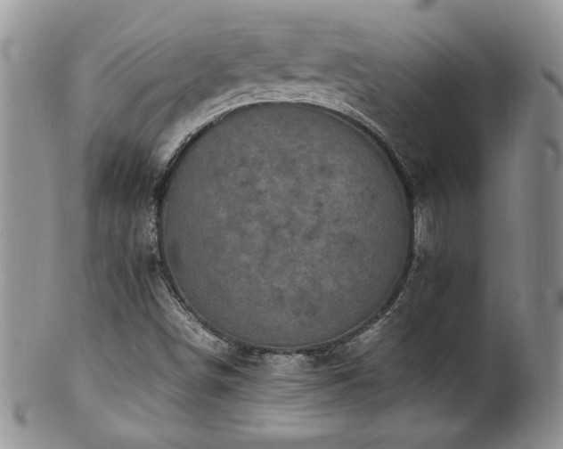 X0000100851498200806201202