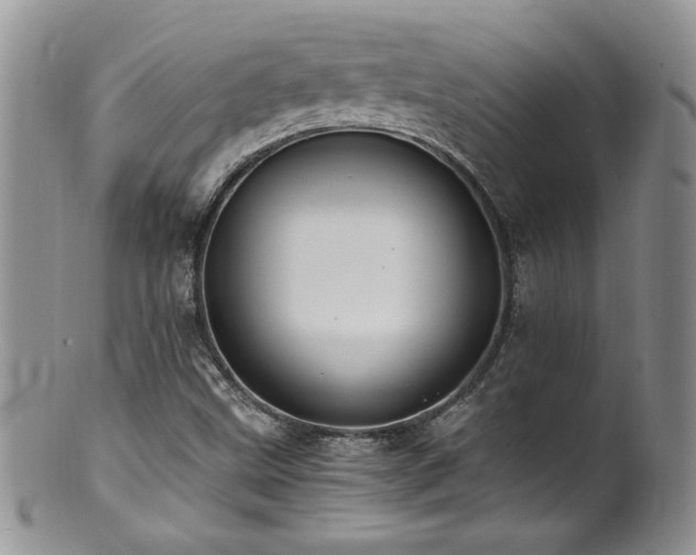 X0000100851499200806201202