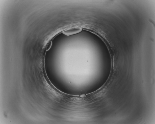 X0000100851500200806201202