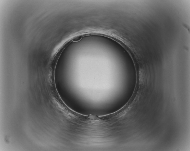 X0000100851502200806201202