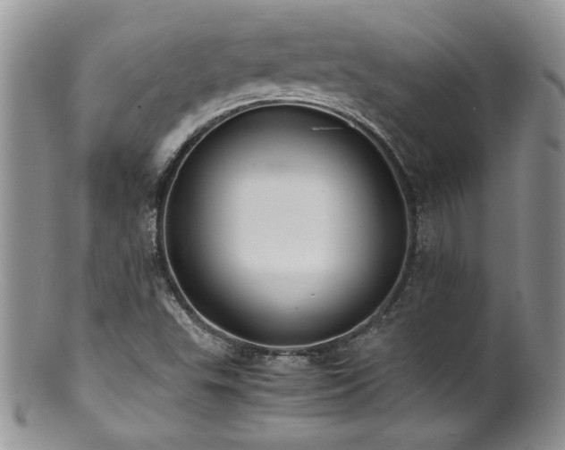 X0000100851503200806201202