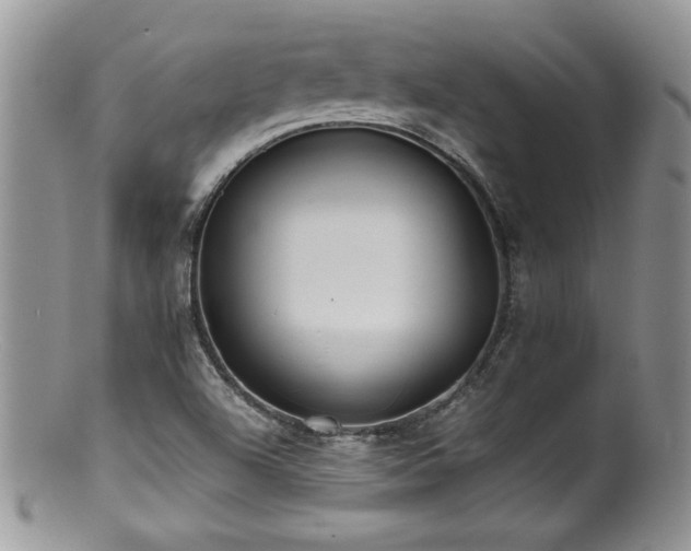 X0000100851504200806201202