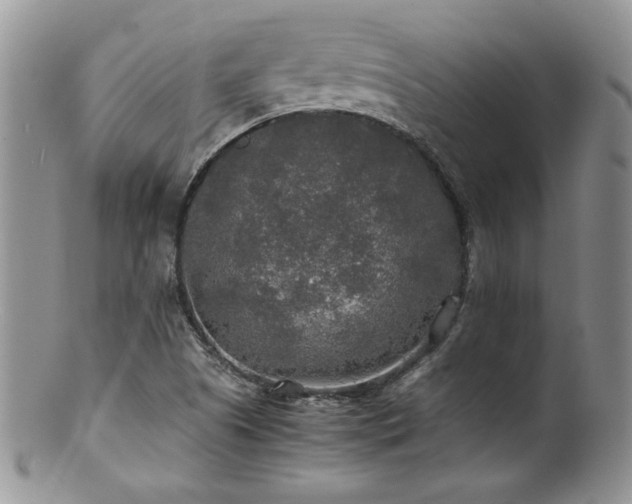 X0000100851505200806201202