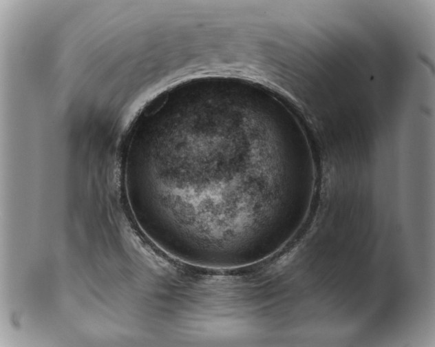 X0000100851506200806201202