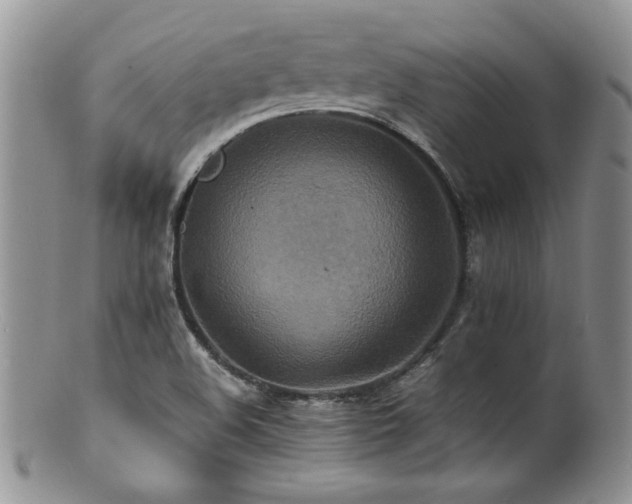X0000100851508200806201202