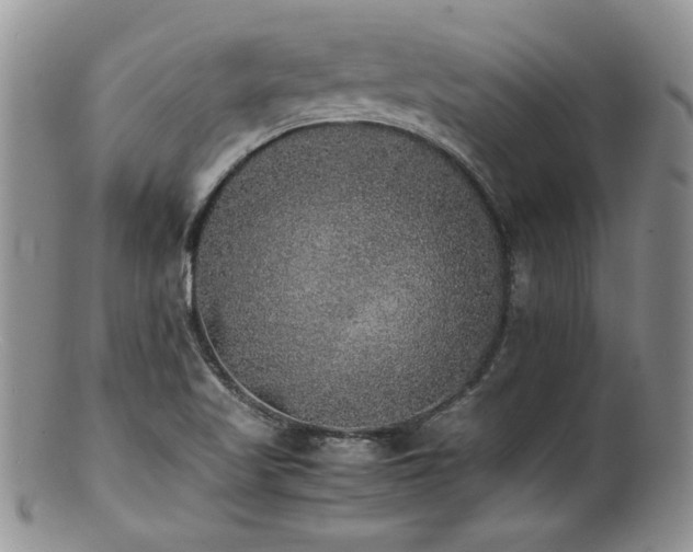 X0000100851509200806201202