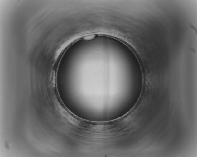 X0000100851510200806201202