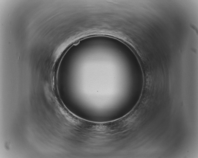 X0000100851511200806201202