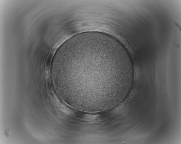 X0000100851513200806201202