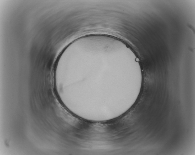 X0000100851514200806201202