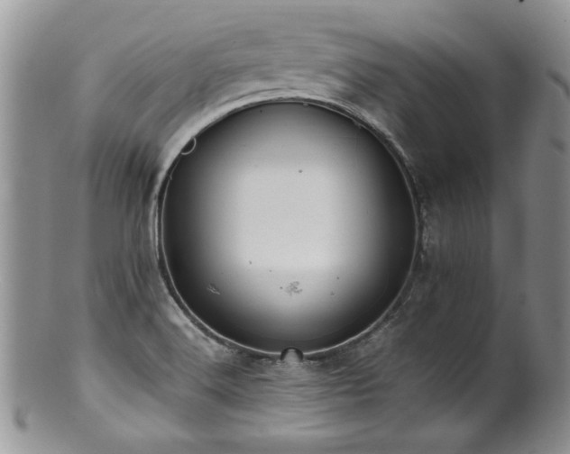 X0000100851516200806201202