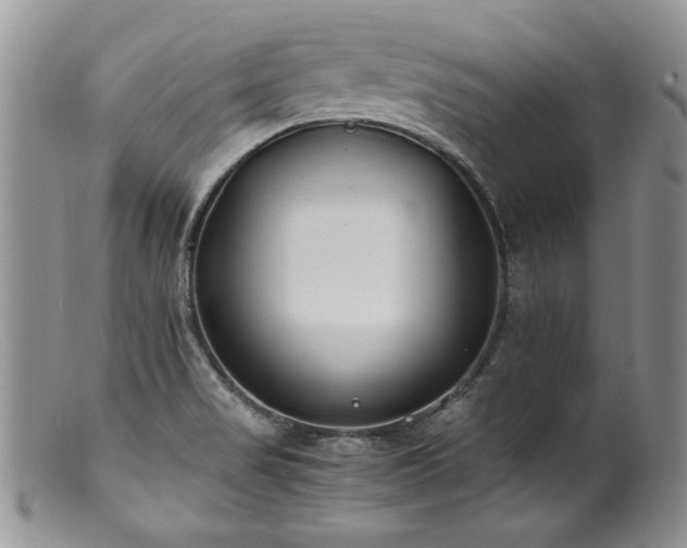 X0000100851517200806201202