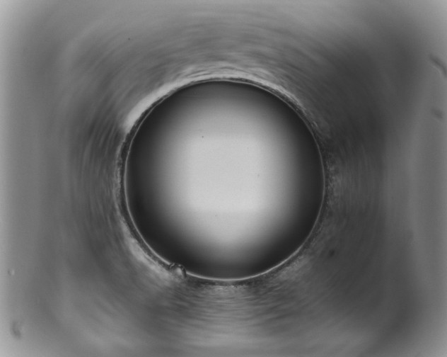 X0000100851518200806201202