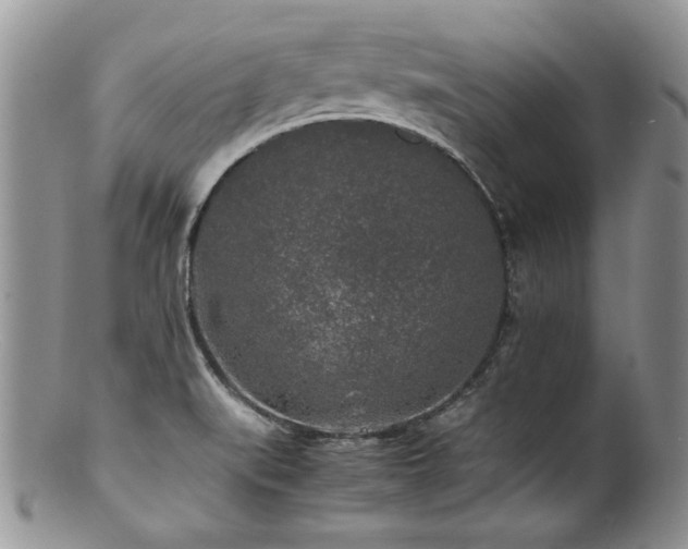 X0000100851519200806201202