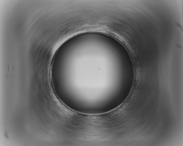 X0000100851520200806201202