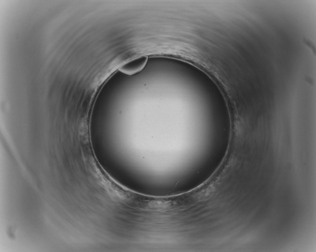 X0000100851521200806201202