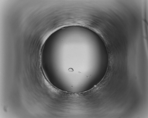 X0000100851524200806201202