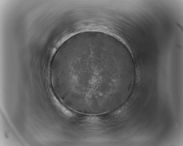 X0000100851525200806201202