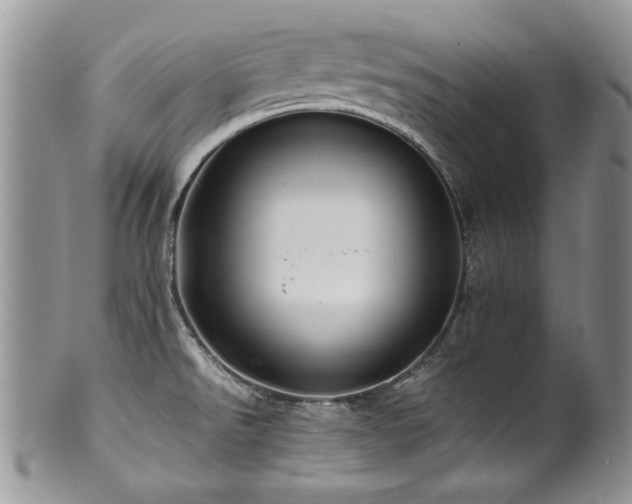 X0000100851526200806201202
