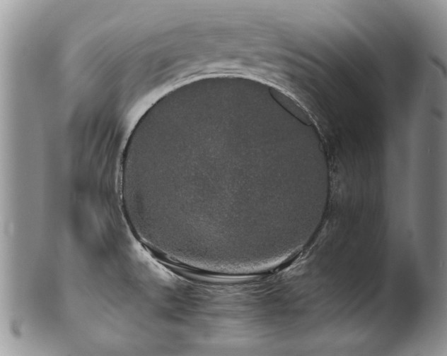 X0000100851527200806201202