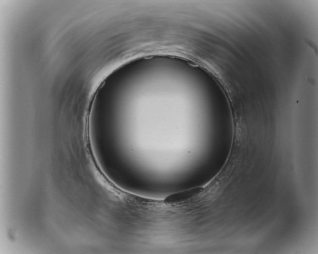 X0000100851528200806201202