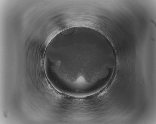 X0000100851529200806201202