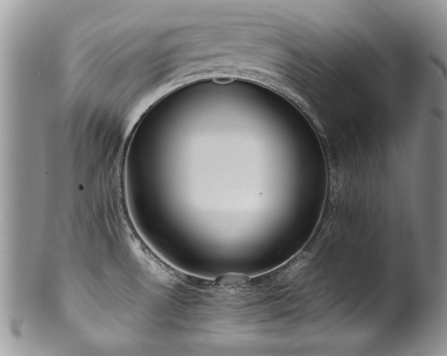 X0000100851530200806201202