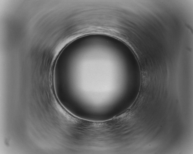 X0000100851531200806201202