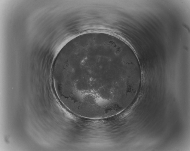 X0000100851533200806201202
