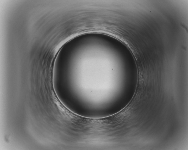 X0000100851534200806201202