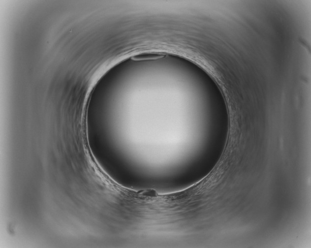 X0000100851536200806201202