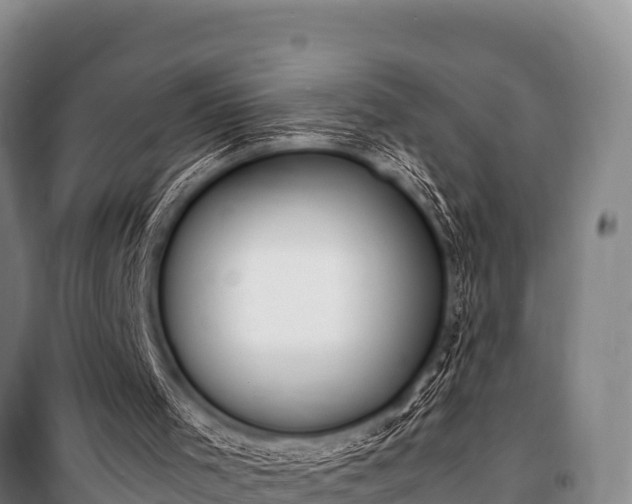 X0000100850001200806271147