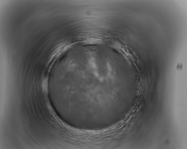 X0000100850002200806271147