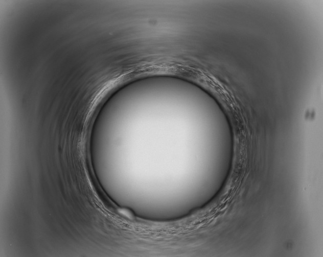 X0000100850003200806271147