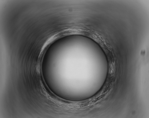 X0000100850004200806271147