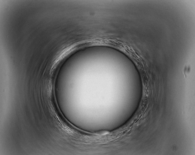 X0000100850005200806271147