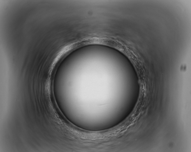 X0000100850006200806271147