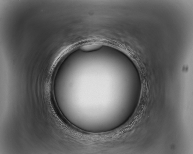 X0000100850007200806271147