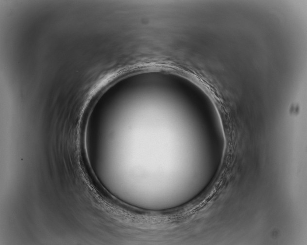 X0000100850008200806271147