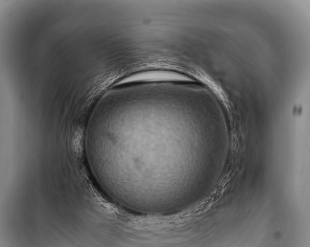 X0000100850009200806271147