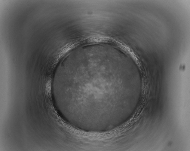 X0000100850010200806271147