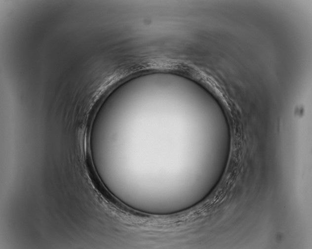 X0000100850011200806271147