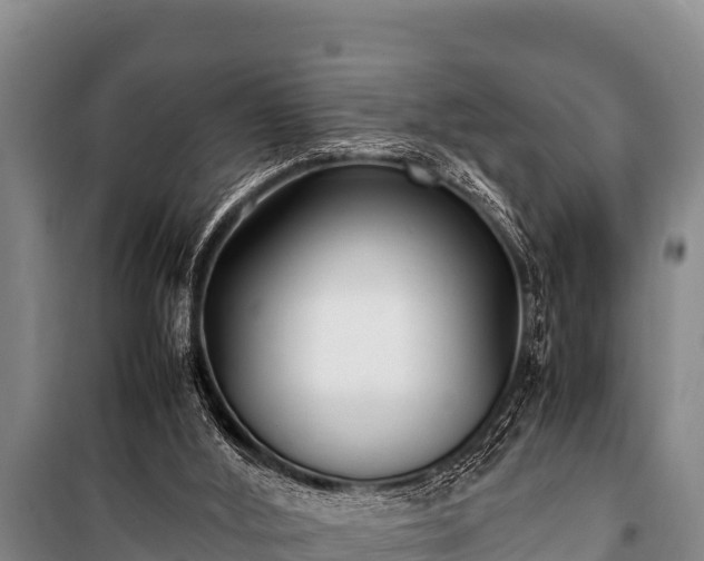 X0000100850012200806271147