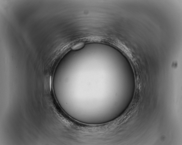 X0000100850013200806271147