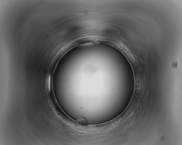 X0000100850014200806271147