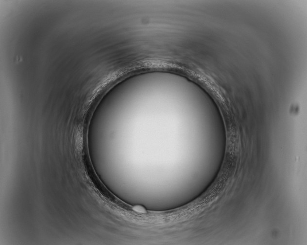 X0000100850015200806271147