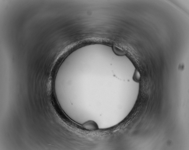 X0000100850016200806271147