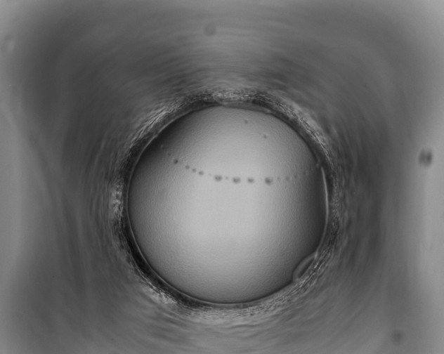 X0000100850017200806271147