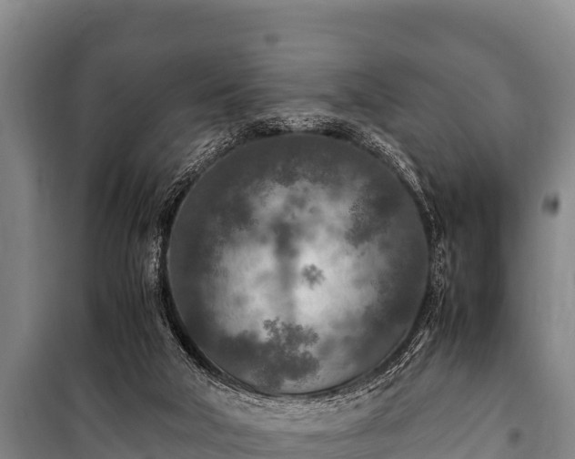 X0000100850018200806271147