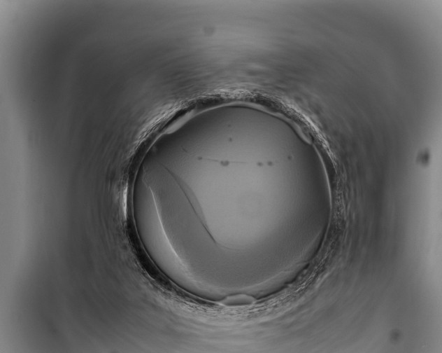 X0000100850019200806271147